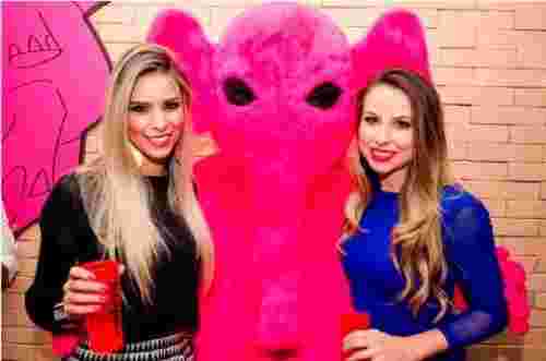 Pink Elephant Campinas em Campinas