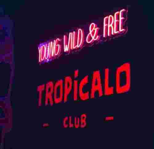 Tropicalo Club em São Paulo