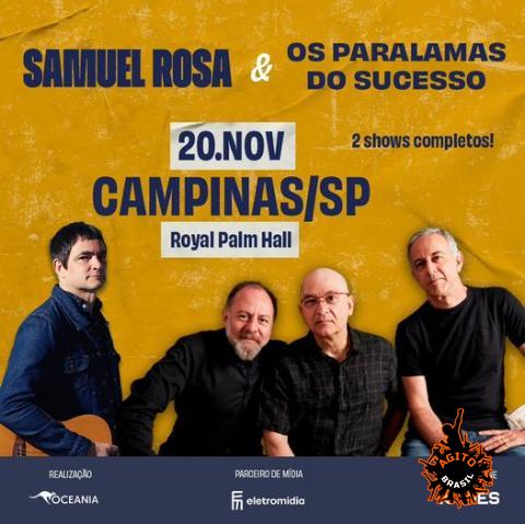 Samuel Rosa e Os Paralamas do Sucesso